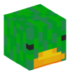Head — Duck