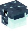 Head — Whale Shark