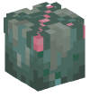 Head — Ovomorph