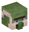 Head — Librarian Zombie Villager