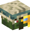 Head — Cartographer Zombie Villager — 31534