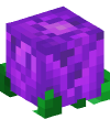 Head — Rose (purple)