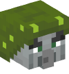 Head — Illusioner (green)