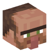 Head — Toolsmith Villager