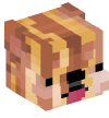 Head — Bacon Doge