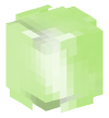 Head — Cabbage (white)