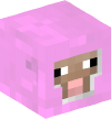 Голова — Ярко-розовая овца