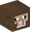 Head — Sheep (brown)