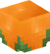 Head — Blossom (orange)