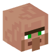 Head — Nitwit Villager — 32845