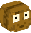 Head — Wallnut