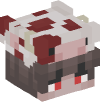 Head — Boy
