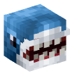 Head — Great White Shark