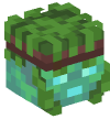 Head — Drowned