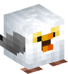 Head — Seagull