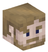 Minecraft heads by tag — Male