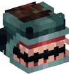 Head — Shark
