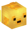 Head — Golden Fish