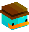 Head — Perry the Platypus