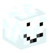 Head — Snow Golem
