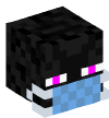 Head — Enderman — 45813