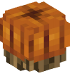 Head — Pumpkin on a Log