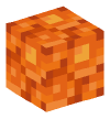 Head — Block of Resin