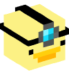 Head — Duck