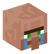 Head — Crying Villager