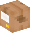 Head — Cardboard Box