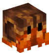 Head — Hermit Crab
