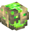 Head — Radioactive Golem