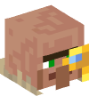 Head — Cartographer Villager — 32861