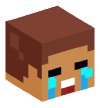 Head — Emoticon Steve (Crying)