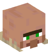Head — Baby Taiga Villager