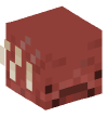 Head — Strider