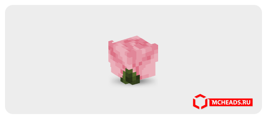 Dusty Hot Pink Rose — Minecraft head