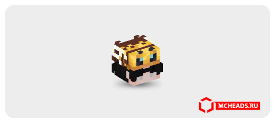 Man with Bee Hat — Minecraft head