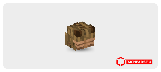 Wooden Frog — Minecraft head