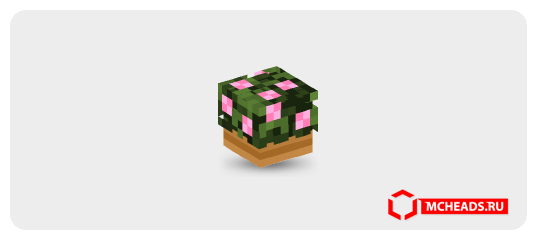 Potted Azalea Plant — Minecraft Head