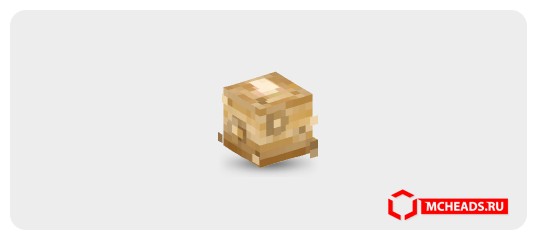 Ginger Root — Minecraft head