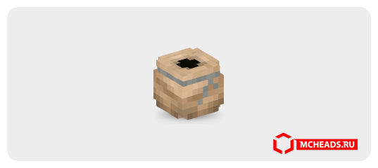 Silver-wrapped Bag — Minecraft head
