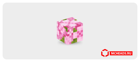 Cherry Leaves — Minecraft head