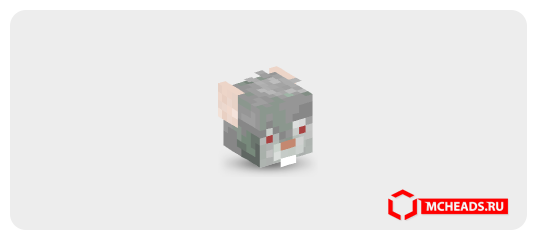 Angry Rat — 55566 — Minecraft head