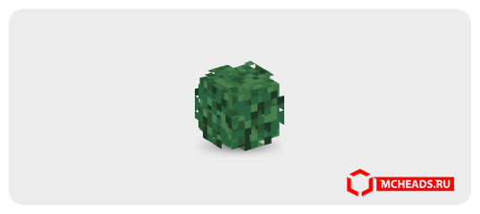 Bush — 25276 — Minecraft head