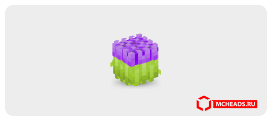 Tulips (purple) — Minecraft head