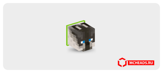 Collared Siamese Cat (lime) — Minecraft head