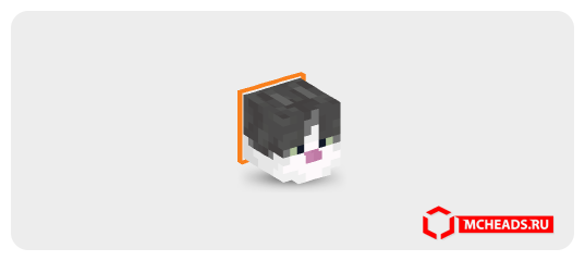 Collared Jellie Cat (orange) — Minecraft head
