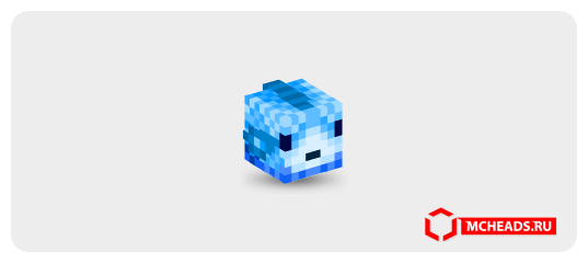 Fish — 90808 — Minecraft head