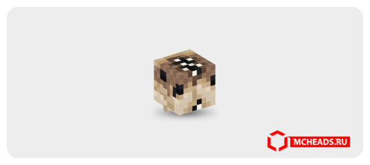 Cod Fish (mutated) — Minecraft head